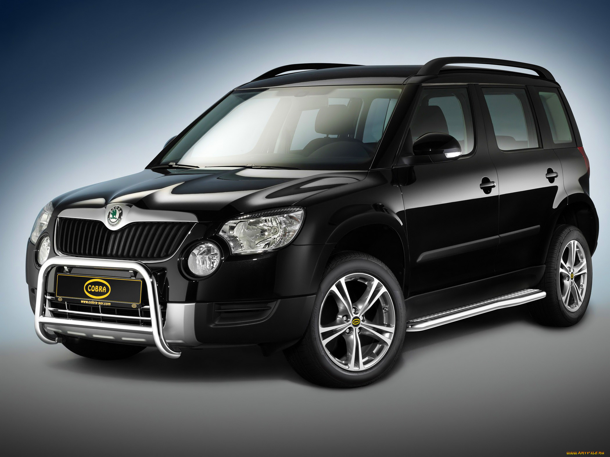 , skoda, cobra, auto